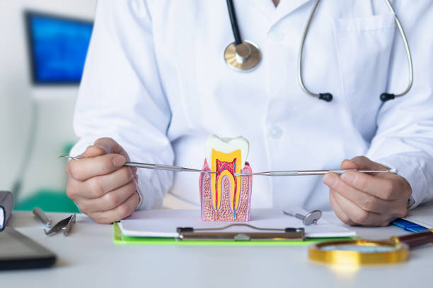 Best Emergency Root Canal Treatment in Woodbourne, PA